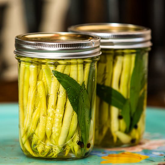 Tarragon Pickled Green Beans - Recipe photo by sidewalkshoes