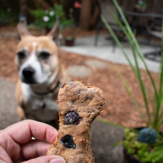 Blueberry, Peanut Butter Dog Treats - Recipe photo by For the Love of Cooking