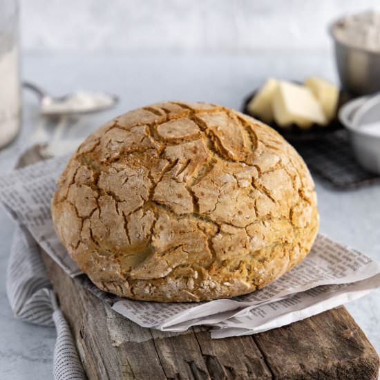 GF Dutch Oven Bread - Recipe photo by sweetrusticbakes