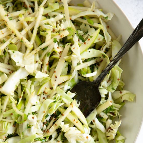 Apple Coleslaw - Recipe photo by theforkedspoon