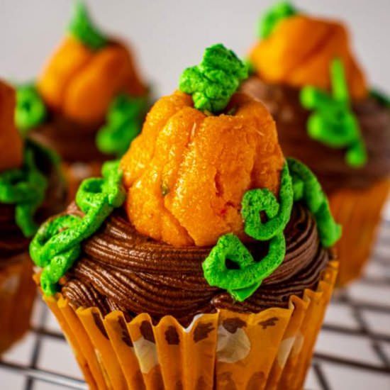 Pumpkin Patch Cupcakes - Recipe photo by Surup