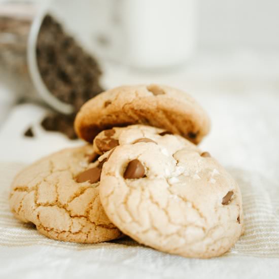 The BEST Chewy Chocolate Chip Cookies - Recipe photo by Birdie Shoots