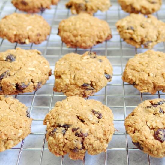 Oatmeal Raisin Cookies - Recipe photo by springtomorrow