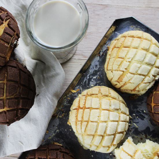 Conchas mexican sweet bread - Recipe photo by hornoMX