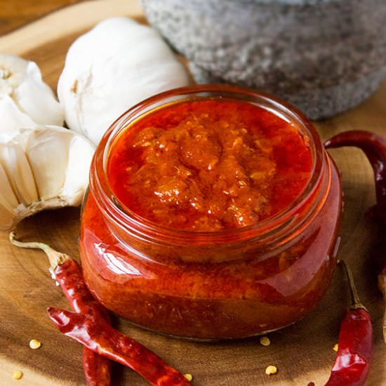Schezwan Sauce Recipe - Recipe photo by MunatyCooking