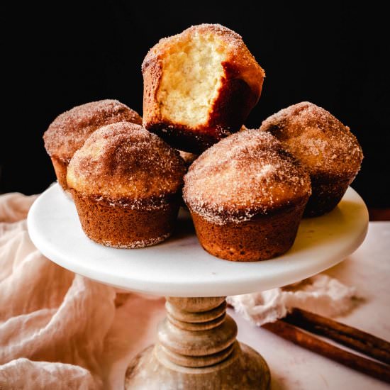 Cinnamon Sugar Donut Muffins - Recipe photo by kickassbaker