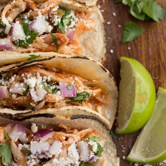 Easy Chicken Tinga Tacos - Recipe photo by borrowedbites