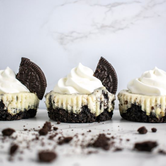 Mini Oreo Cheesecake Bites - Recipe photo by gingersnapsbakingaffairs