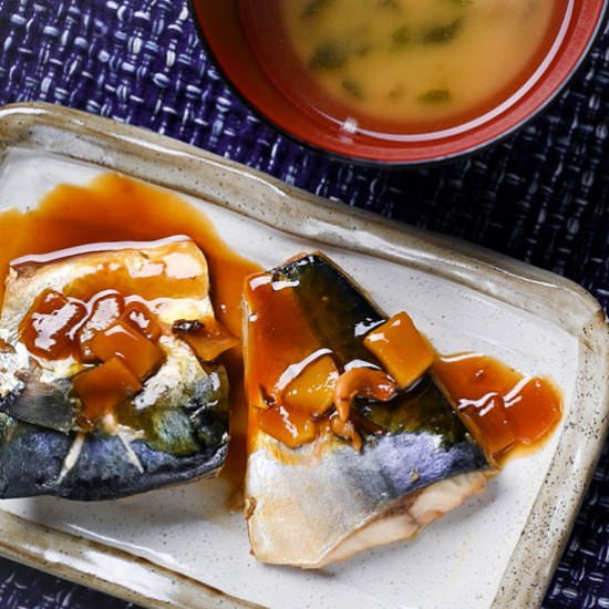 Miso Simmered Mackerel - Recipe photo by Sudachi Recipes