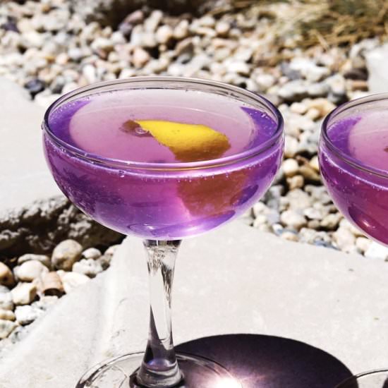 Empress Gin Fizz - Recipe photo by lindseyeatsla