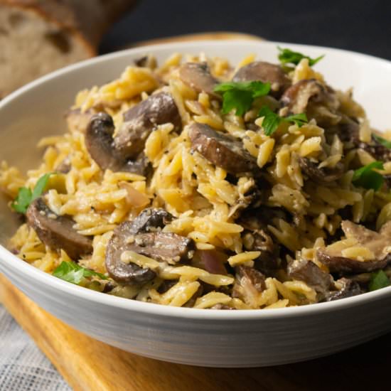 Creamy Mushroom Orzo - Recipe photo by JawnsICooked