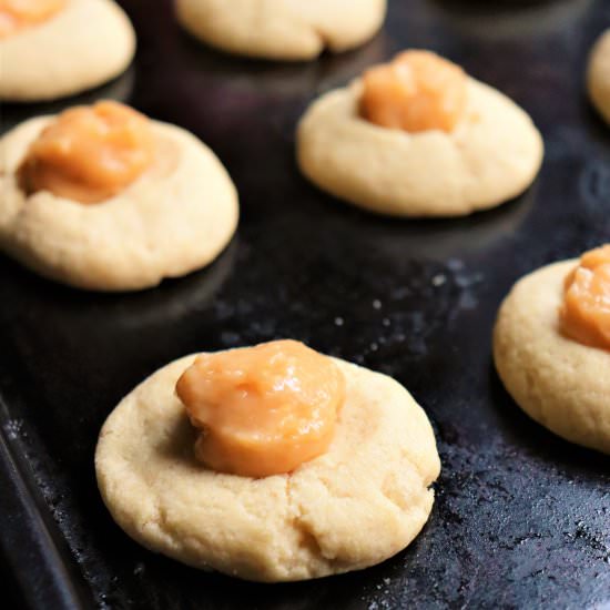 Pawpaw Ginger Thumbprint Cookies - Recipe photo by veryveganval