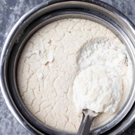 INSTANT POT IDLI BATTER - Recipe photo by Fatrainbow