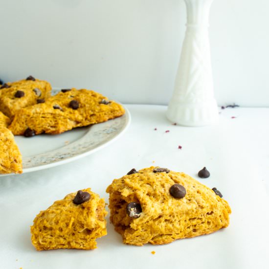 Pumpkin Chocolate Chip Scones - Recipe photo by Tidbitsbytaylor