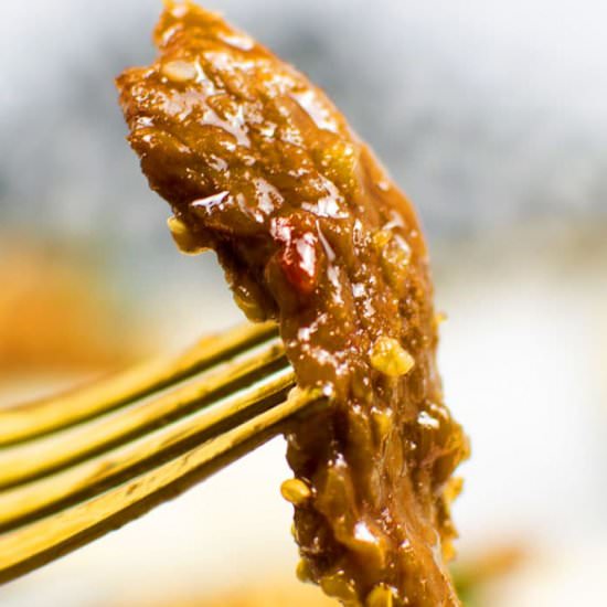 Instant Pot Mongolian Beef - Recipe photo by 1PotRecipes