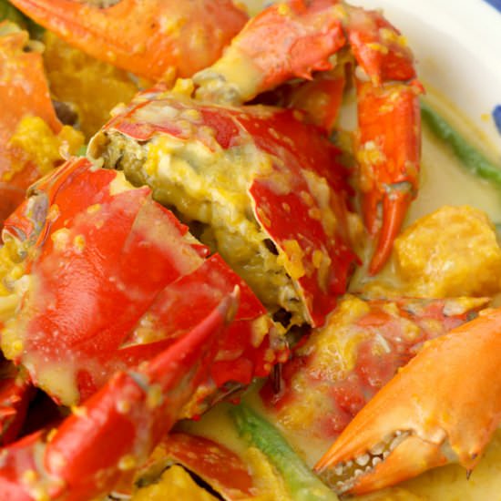 Crabs In Coconut Milk - Recipe photo by foxy folksy