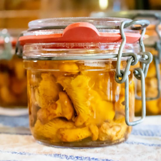 How to can Mushrooms - Recipe photo by MasalaHerb