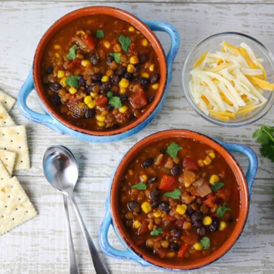 Instant Pot Lentil Black Bean Chili - Recipe photo by Tastefulventure