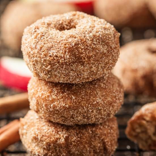 Cinnamon Apple Baked Donuts - Recipe photo by chewoutloud