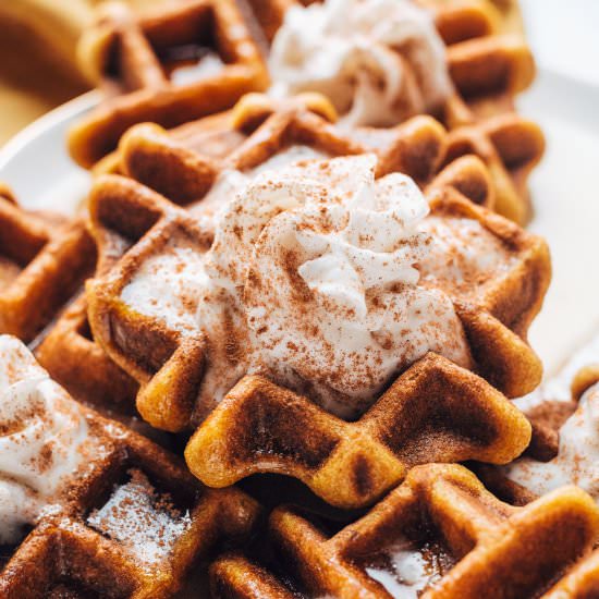 Pumpkin Waffles - Recipe photo by MunchkinTime