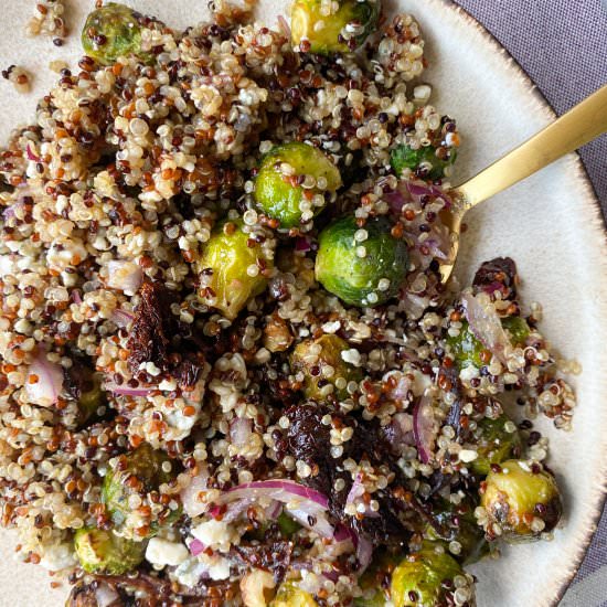 Easy Brussel Sprout Quinoa Salad - Recipe photo by frozen_bananas_