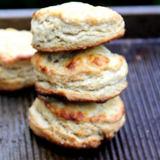 Easy Flakey Buttermilk Biscuits - Recipe photo by Spice Chronicles