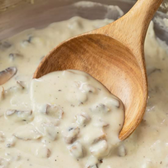 Condensed Cream of Mushroom Soup - Recipe photo by TheCozyCook
