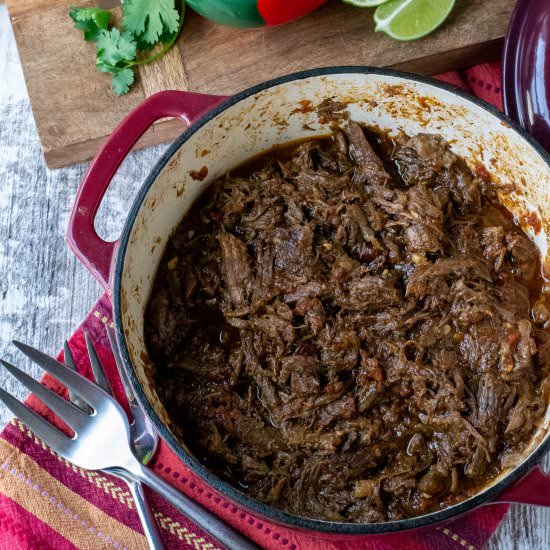 Shredded All-Purpose Mexican Beef - Recipe photo by whattheforksfordinner
