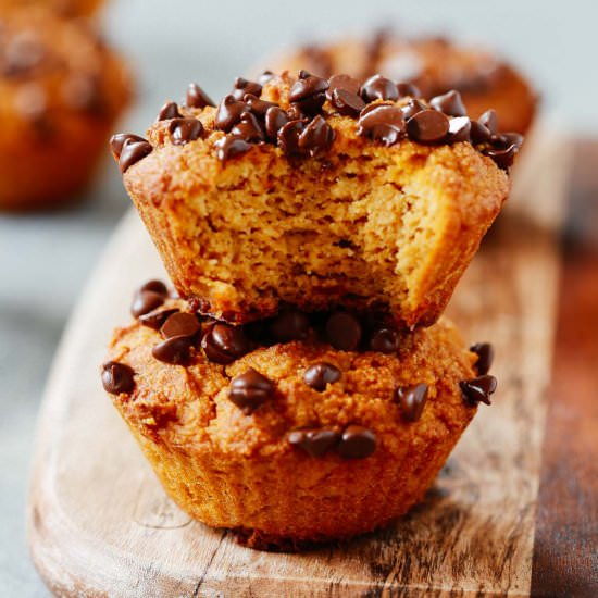 Healthy Pumpkin Chocolate Muffins - Recipe photo by PrimaveraKitchen