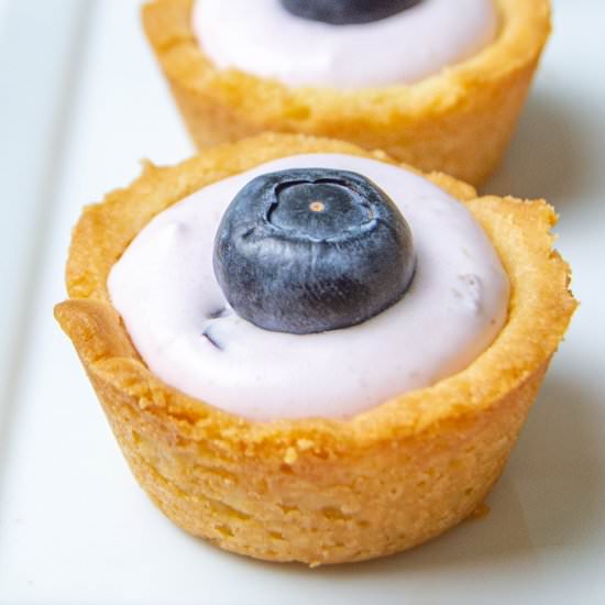 Mini Blueberry Lemon Tarts - Recipe photo by lifebeginswithdessert