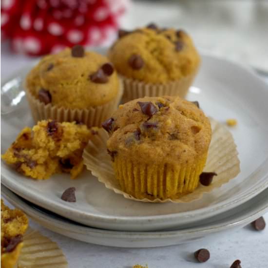Mini Pumpkin Chocolate Chip Muffins - Recipe photo by TwoSugarBugs