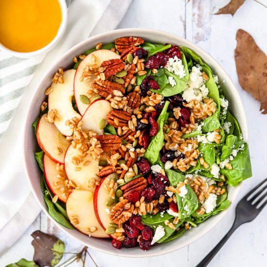 Healthy Fall Harvest Salad - Recipe photo by Honestfoodie_blog