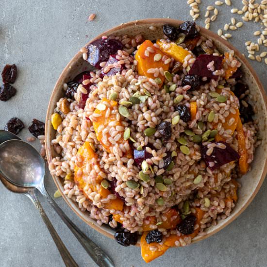 Sprouted Barley and Butternut Salad - Recipe photo by Aredspatula