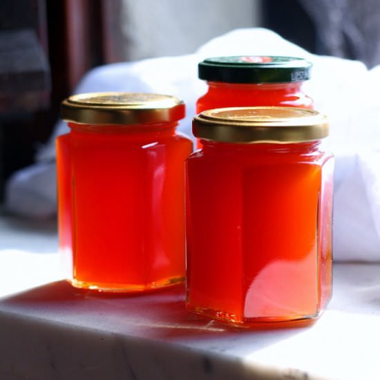 Rosehip and Apple Jelly - Recipe photo by JayWadams