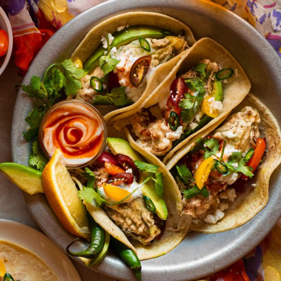 Spicy Chicken Squash Blossom Tacos - Recipe photo by rhubarbandcod