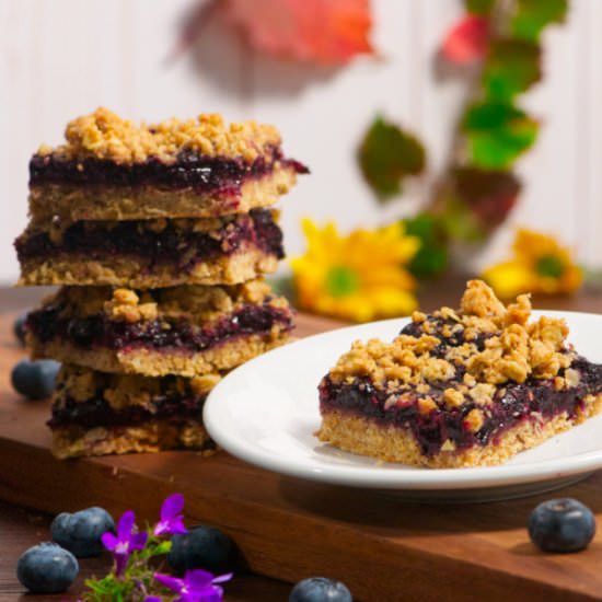 The Best Blueberry Oat Streusel Bar - Recipe photo by Norberts Kitchen