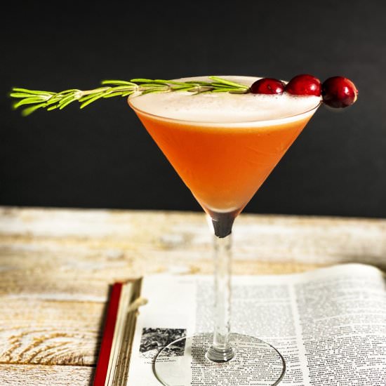 Bourbon Cranberry Sour - Recipe photo by Theperksofbeingus