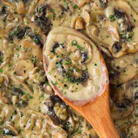 White wine creamy mushroom sauce - Recipe photo by HereToCook