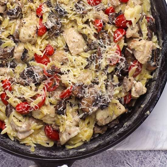 Parmesan Chicken Orzo Skillet - Recipe photo by suebeehomemaker