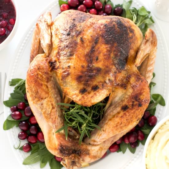 The BEST Roasted Turkey - Recipe photo by ChefSavvy