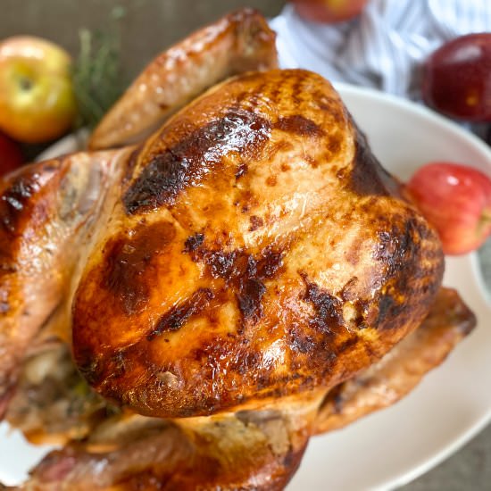 Cozy Apple Cider Turkey (Brine) - Recipe photo by Nictastingspoon