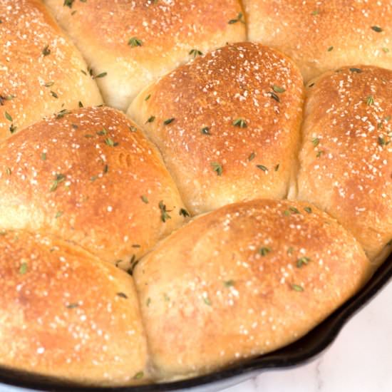 Buttery Dinner Rolls - Recipe photo by borrowedbites