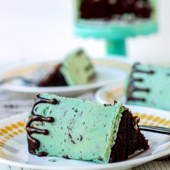 Mini Mint Chocolate Chip Cake - Recipe photo by Bakes and Blunders