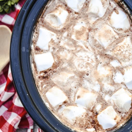 Crockpot Hot Chocolate - Recipe photo by Old Salt Farm
