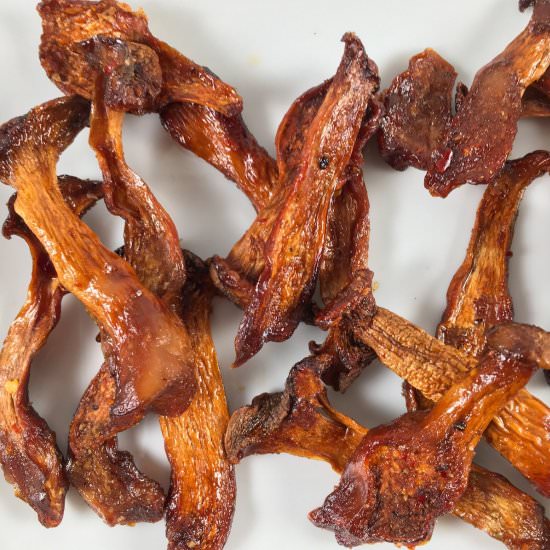 Air Fryer Jerky | Mushroom Jerky - Recipe photo by summeryule.com