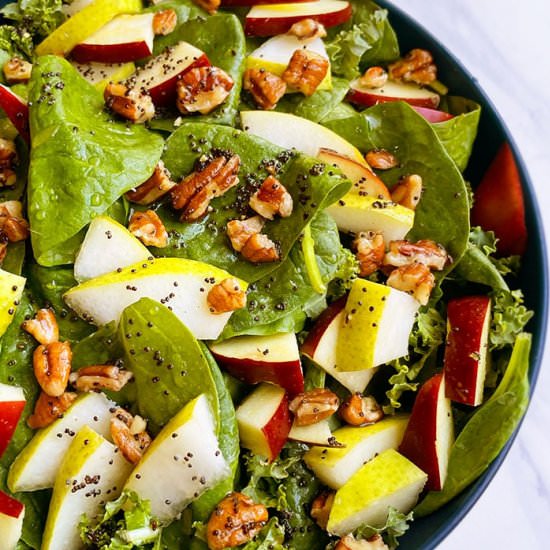 Thanksgiving Salad - Recipe photo by 1PotRecipes
