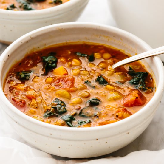 Very Best Lentil Soup - Recipe photo by Downshiftology