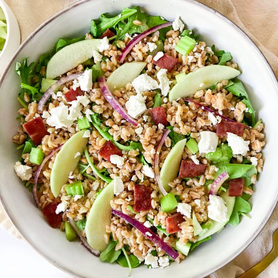 Apple Farro and Bacon Salad - Recipe photo by Sugarylogic
