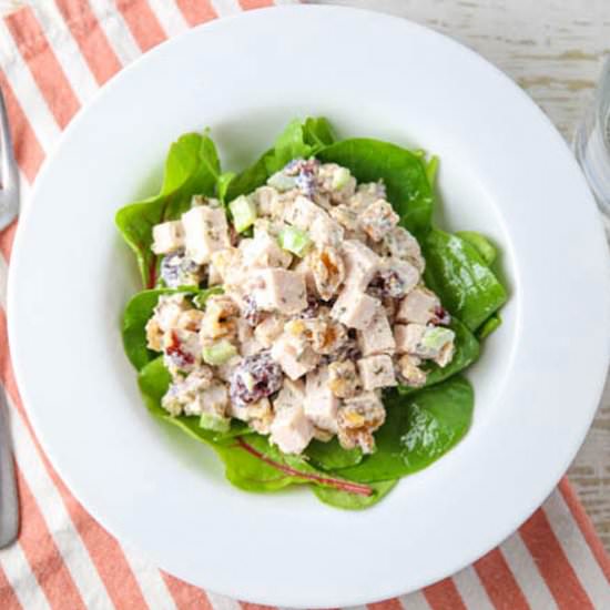 Cranberry Walnut Turkey Salad - Recipe photo by Tastefulventure
