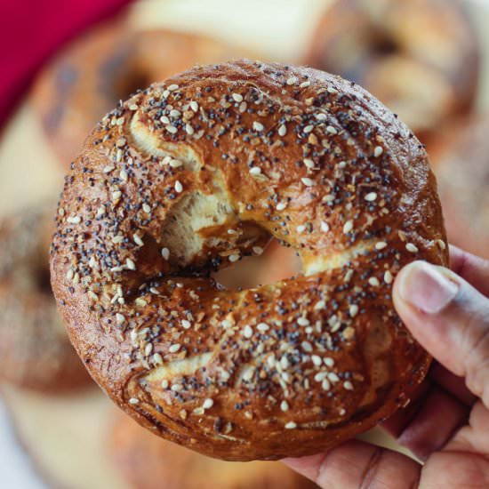 New York Bagels - Recipe photo by therarewelshbit